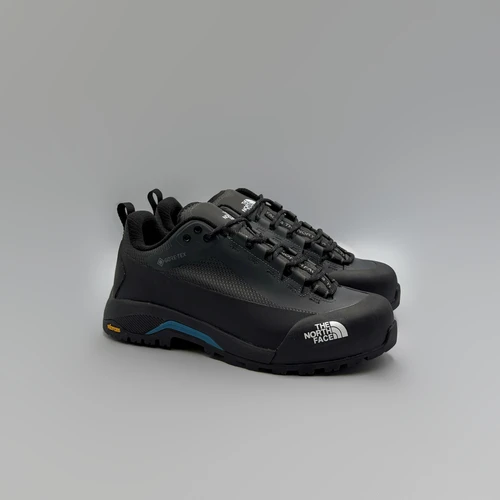 TNF Verto Alpine Gore-Tex утепленные